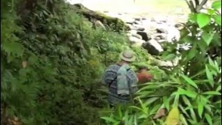 Papua New Guinea Trailer