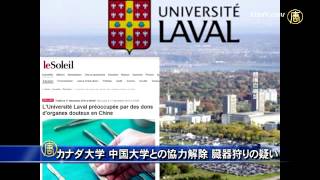 カナダ大学 中国大学との協力解除 臓器狩りの疑い 20141222