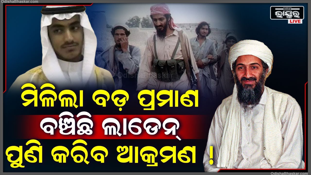 ବଞ୍ଚିଛି ଆତଙ୍କବାଦର ରାଜା ଲାଡେନ ! ଆଫଗାନିସ୍ତାନରେ ଲୁଚି ରହି କରୁଛି ବିସ୍ଫୋରଣର ଷଡ଼ଯନ୍ତ୍ର