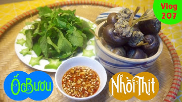CÁCH LÀM ỐC BƯƠU NHỒI THỊT CÁCH PHA NƯỚC MẮM GỪNG (Stuffed Snail)