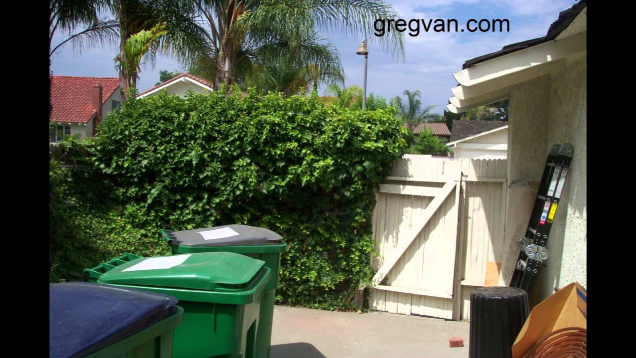 Can Plants Actually Hold up the Wood Fence? - Home Repair Problems