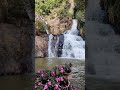 Waterfall and flowers#asmr #waterfalls #nature #goodday #beautifulnature
