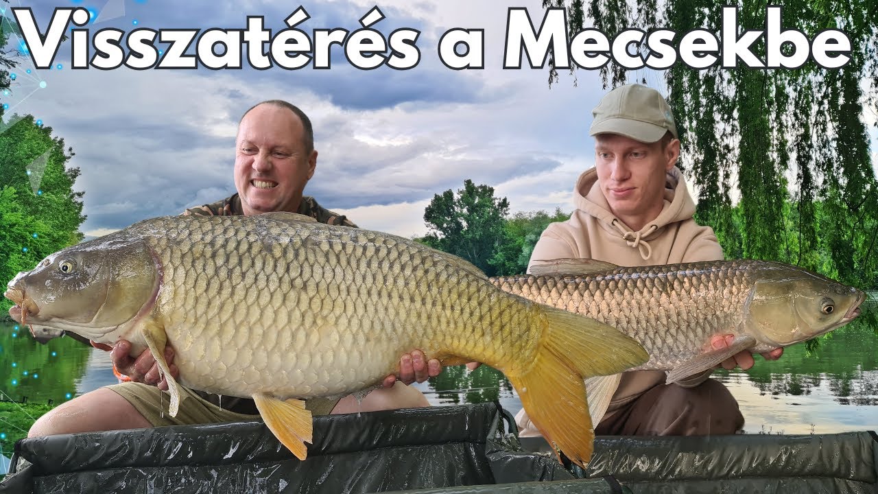 Bojlis horgászat - Visszatérés a Mecsekbe - Az új ponty rekordom
