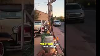 Discover Cars of the Mother Road in Williams Arizona