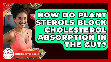 How Do Plant Sterols Block Cholesterol Absorption in the Gut? | Cholesterol Support Network