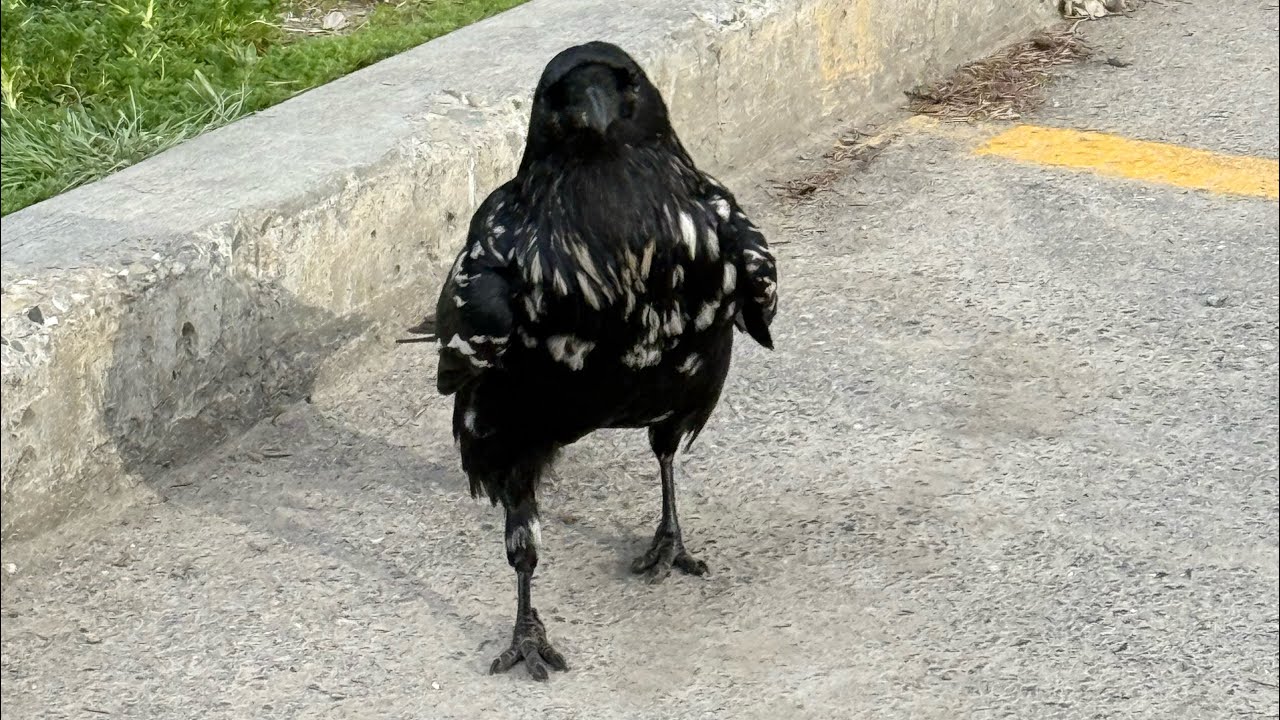 Someone realizes you ARE who you said you were ... they're feeling humiliated