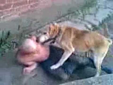 Секс син имат написано. Отличная статья. Краткость