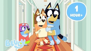 🔴LIVE: Bluey Episodes that have Halloween Energy 👻 | Bluey
