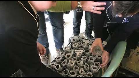 Don Milani - Circular lab