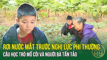 Rơi Nước Mắt Trước Nghị Lực Phi Thường Của Cậu Học Trò Mồ Côi Và Người Bà Tần Tảo | HYTV