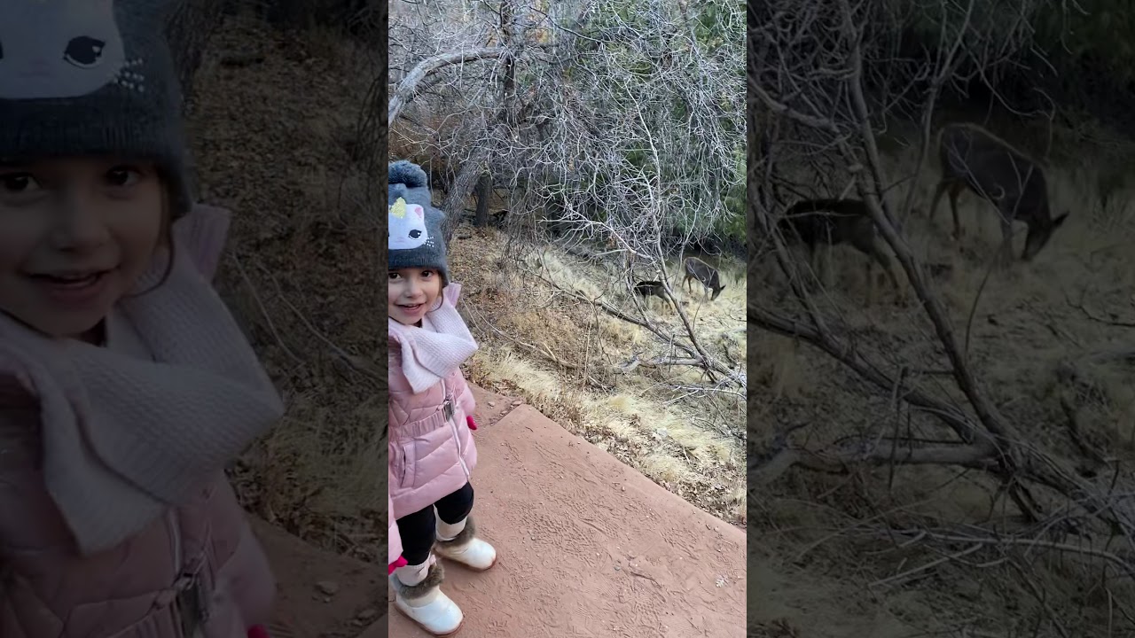 Zion National Park with kids - deer in the wild