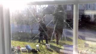 Outdoor Christmas Tree 2011 Timelapse