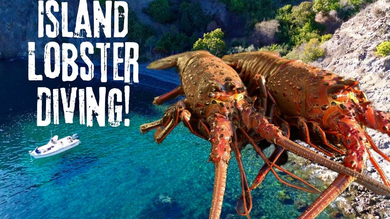 Кемпинг на острове Каталина и ловля лобстеров! Поймал, почистил и приготовил.