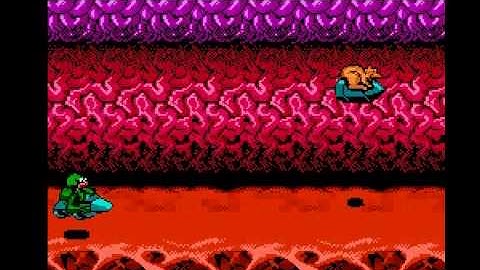 Battletoads(NES) - Turbo Tunnel Perfect Run