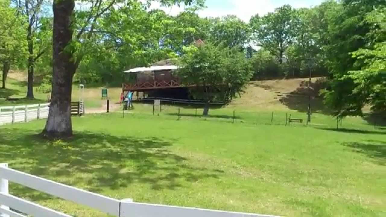 十勝 池田町 まきばの家 ドッグラン 3 Youtube