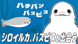 【ハチバンバスピス】虚無目のシロイルカ、海の仲間と出会う【白・まろやか】
