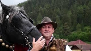 Murgul meu cu coama deasă-Eugen Mihăilă si formația Adi Străulea 0745819769 /0724883504