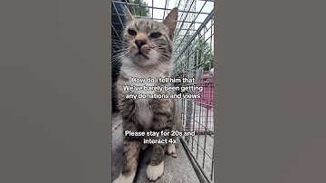 Click the link in our channel description to support!Every pledge you make means the world to them