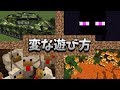 マインクラフトの変な遊び方【Minecraft】