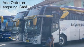 Mau Berwisata tinggal order aja! Review Garasi Bus Jackal Holidays Pariwisata 13/06/2025