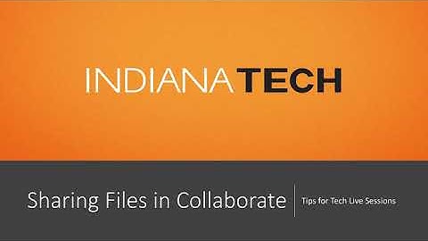 Sharing Files in Collaborate Blackboard