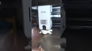 Угадаете, кто получается? Первые пробы на 3d красавчике.#ТехноКухня #3дпринтер #печать