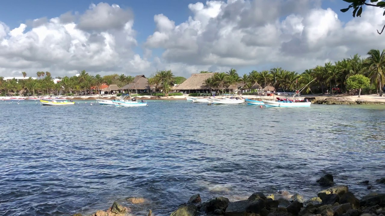 Akumal Bay, June 2019 Akumal Beach YouTube
