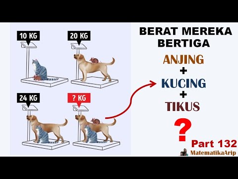 Video: Cara Menentukan Berat Anjing