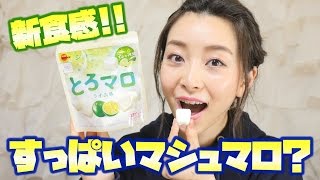 【美味しい!!】すっぱいマシュマロ!? とろマロ ライム味【新食感】 - 2017.4.12 SasakiAsahiVlog