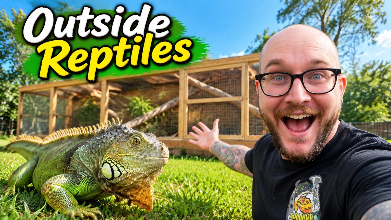 I Keep My Reptiles Outside, ALL YEAR!