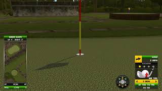 Golden Tee Great Shot on Hidden Temple!