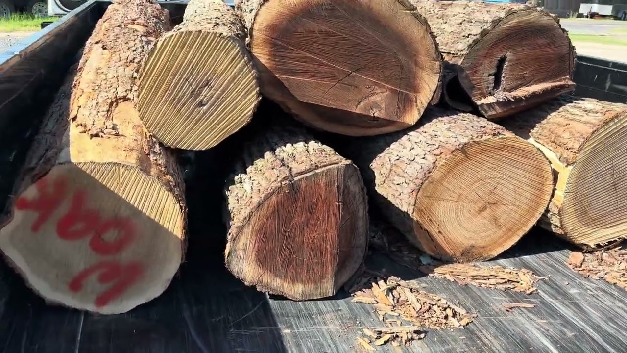 UGLY Slabs These Logs are Gonna Make some ! Black Walnut Hickory Maple Oak