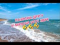 Позвони другу и включи этот звук
