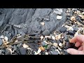 Sea Glass Ireland - Beachcombing 25 Nov 2018