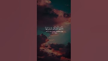 🌹🍃أفرءيتم النار التي تورون🎙️المقرئ:ياسر الدوسري📖سورة الواقعة💫 |الآية {71}|