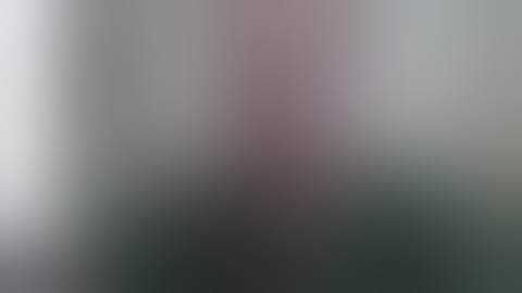 Option Bot 2.0 Scam? How to Use Option Bot 2.0