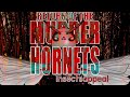 Return of the "Murder Hornets" 2021 - Invasive Infestations