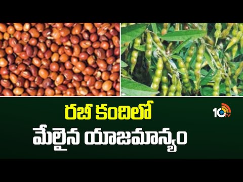 రబీ కందిలో మేలైన యాజమాన్యం | Tips for rabi redgram farming | 10TV News - 10TVNEWSTELUGU