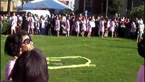 Alpha Chapter, Alpha Kappa Alpha Sorority, Incorporated 63 P.R.O.D.I.G.Y. AKA Spring 2009-9