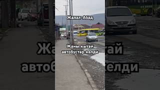 Жаны автобустар келди