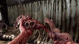 関連動画