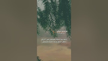 سورة غافر الاية 74-77