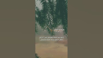 سورة غافر الاية 74-77