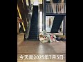 中共 經濟危機 最新現象 全國各地商場倒閉潮 看看知名連鎖大型 購物中心 愛琴海 現狀 連垃圾都沒錢收拾 還能撐幾天 這是7月5日上海愛琴海 物業公司欠保潔公司服務費 保潔公司員工兩個月沒 中共 經濟危機 最新現象 全國各地商場倒閉潮 看看知名連鎖大型 購物中心 愛琴海 現狀 連垃圾都沒錢收拾 還能撐幾天 這是7月5日上海愛琴海 物業公司欠保潔公司服務費 保潔公司員工兩個月沒
