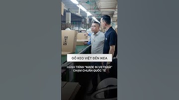 Từ Gỗ Keo Việt đến IKEA: Hành trình “Made in Vietnam” chạm chuẩn quốc tế! 🇻🇳#100B #factorytour