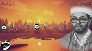 هشام الهراز سورة فصلت