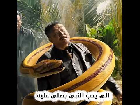 ثعبان عجيب ينتقم لوالد صديقه القصة الكاملة لأفعى الذهب والفضة الم عجزة ملخص فيلم