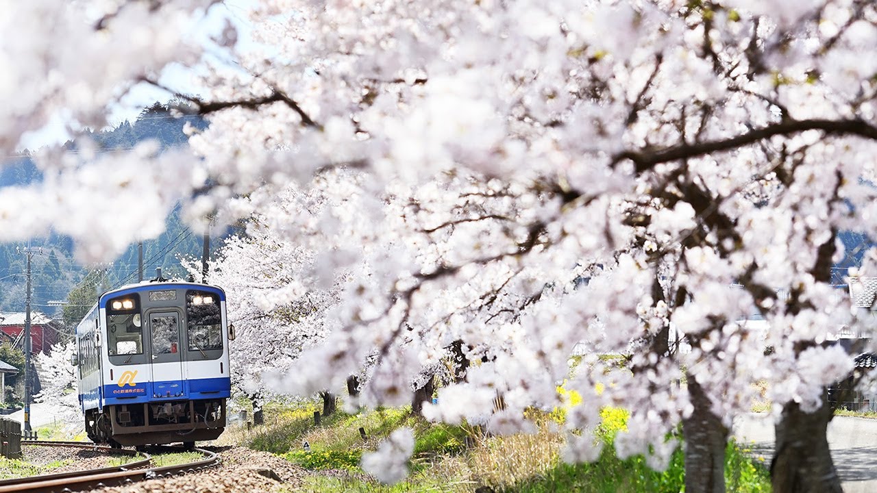 石川・のと鉄道は、味わいある木造駅舎が名物…「春の風景」最高でした