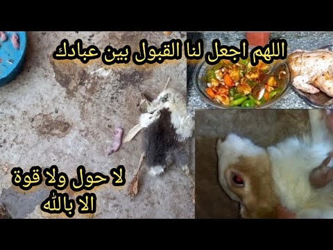 قدر الله وما شاء فعل ربك كريم يقطع من هنا ويوصل هنا والحمدلله على كل شيء