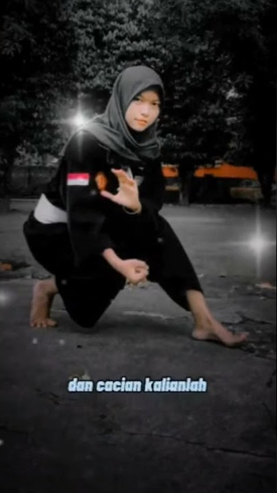 story wa PSHT terbaruu..tentang curhatan saudara SRIKANDI...